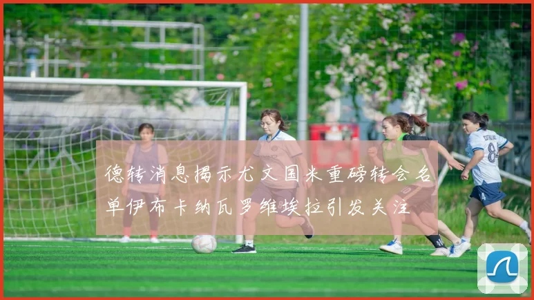 德转消息揭示尤文国米重磅转会名单伊布卡纳瓦罗维埃拉引发关注